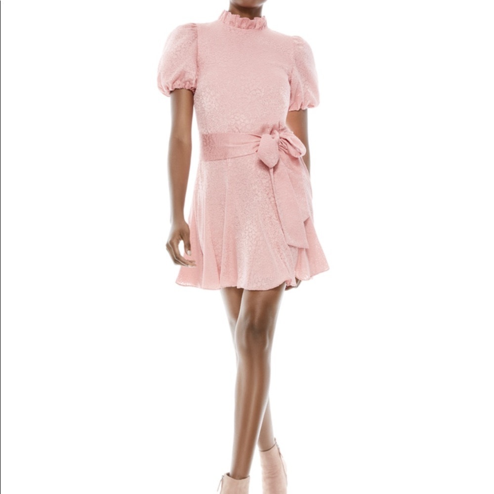 Alice + Olivia cocktail dress